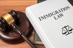 What Is The Appeal Process After Losing Your Case In Immigration Court?